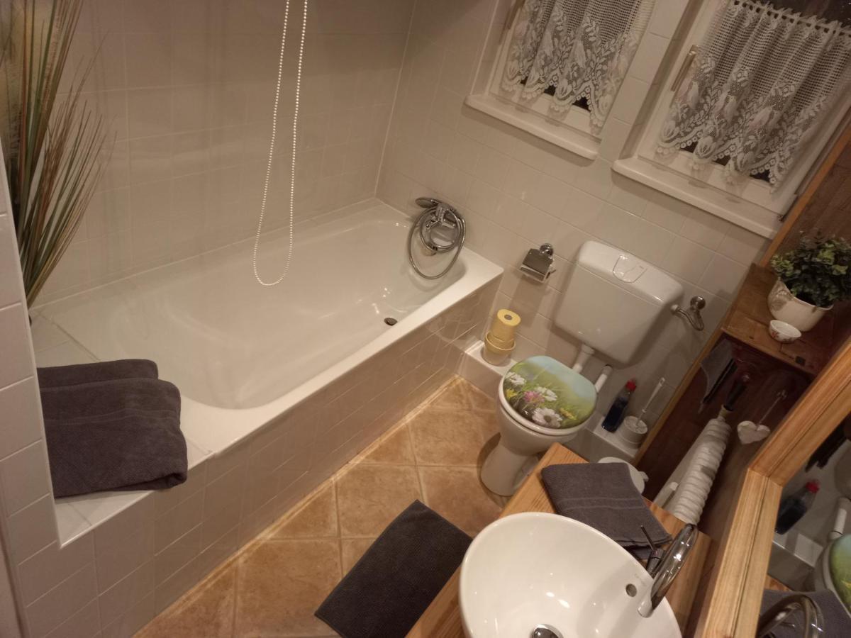 Apartment Almroeserl Edelweiss Гозау Екстер'єр фото